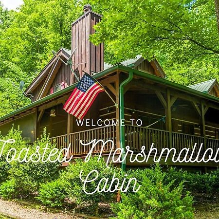 Pigeonforge Cabin Game Roomdog Friendlyhot Tub Pigeon Forge Ngoại thất bức ảnh