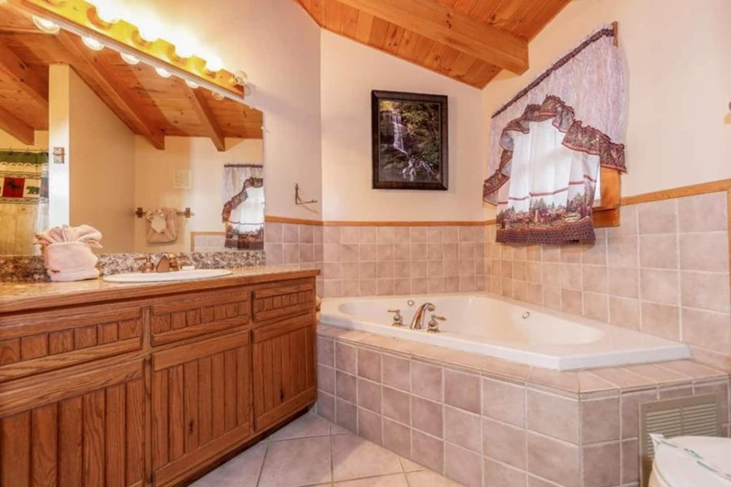 Pigeonforge Cabin Game Roomdog Friendlyhot Tub Pigeon Forge Ngoại thất bức ảnh