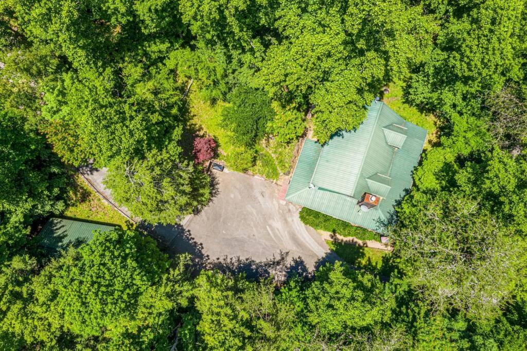 Pigeonforge Cabin Game Roomdog Friendlyhot Tub Pigeon Forge Ngoại thất bức ảnh